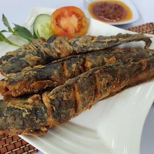 Lele Balut Tepung 1/2 kg